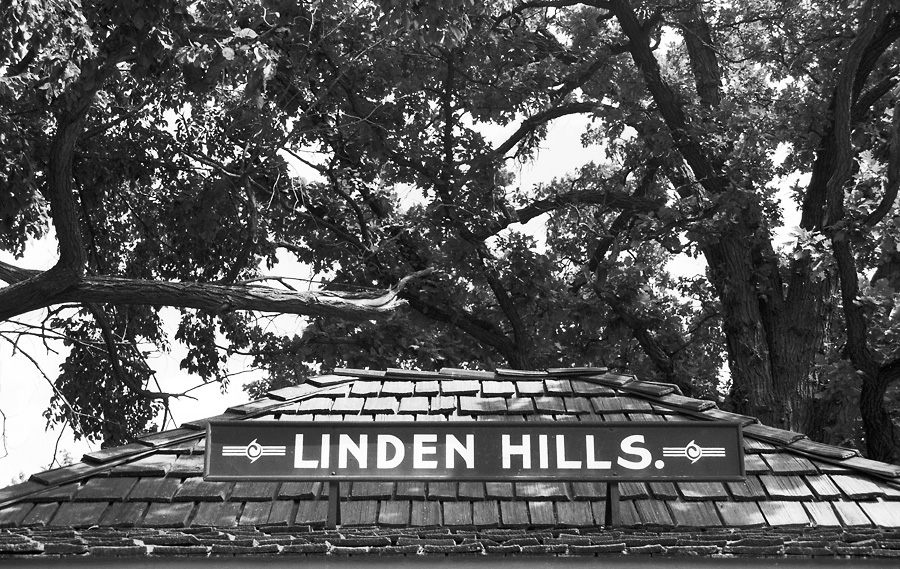 Welcome to Linden Hills