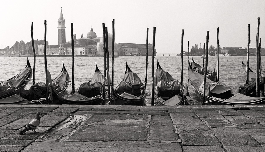 Gondolas with San Giogrio Maggiore Island