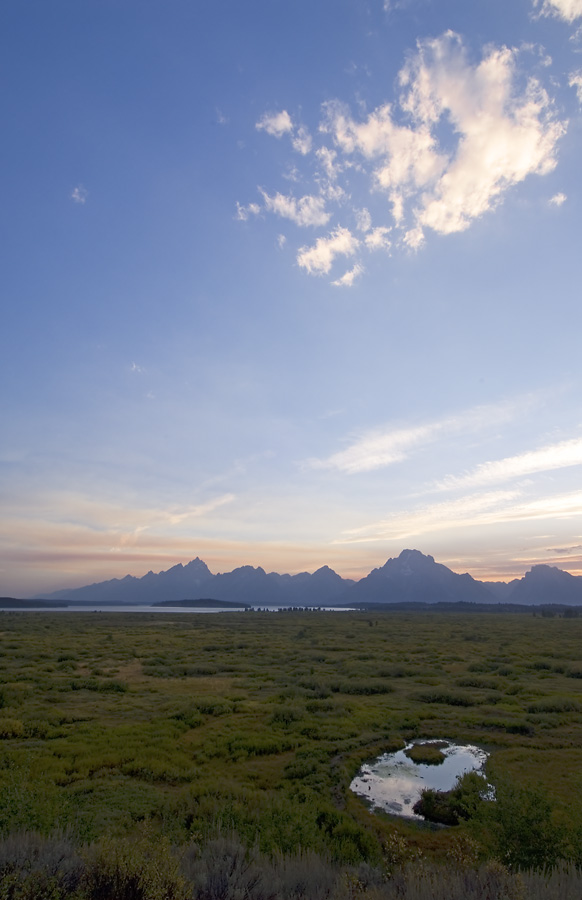 The Tetons from Willow Flats