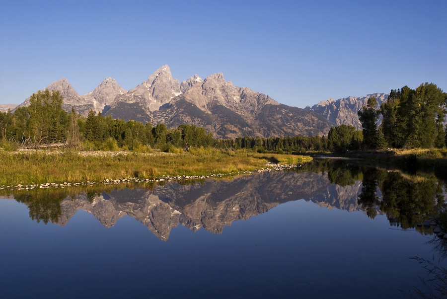 Teton Reflection