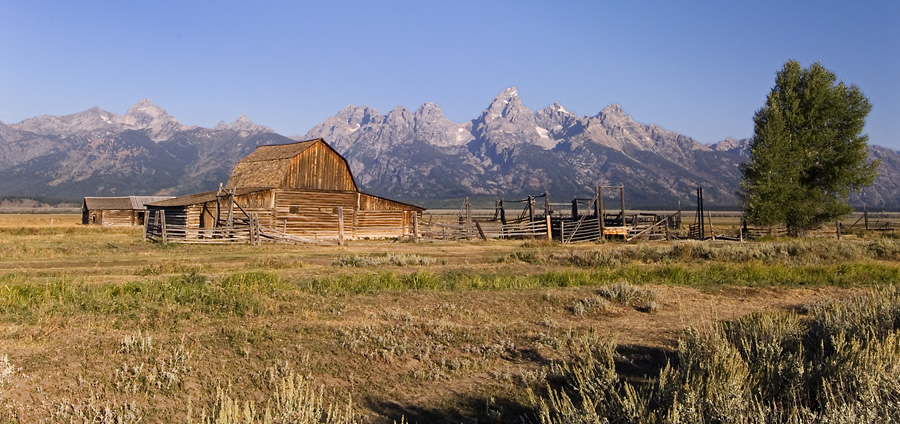 The Moulton Barn and Tetons