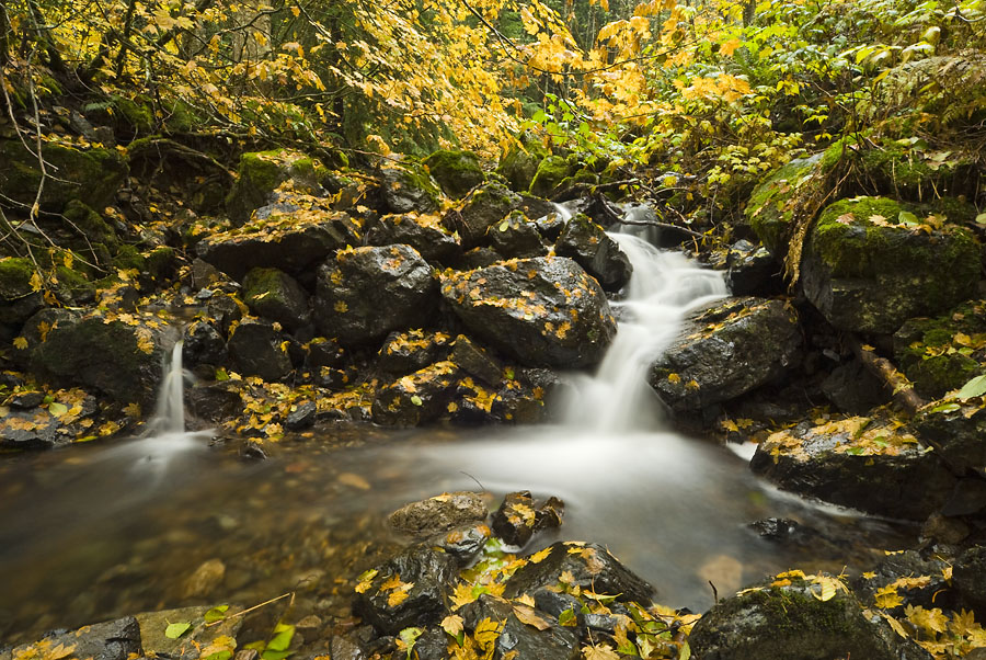 Autumn Waterfall