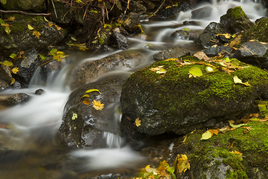 Creek with Autumn Leaves