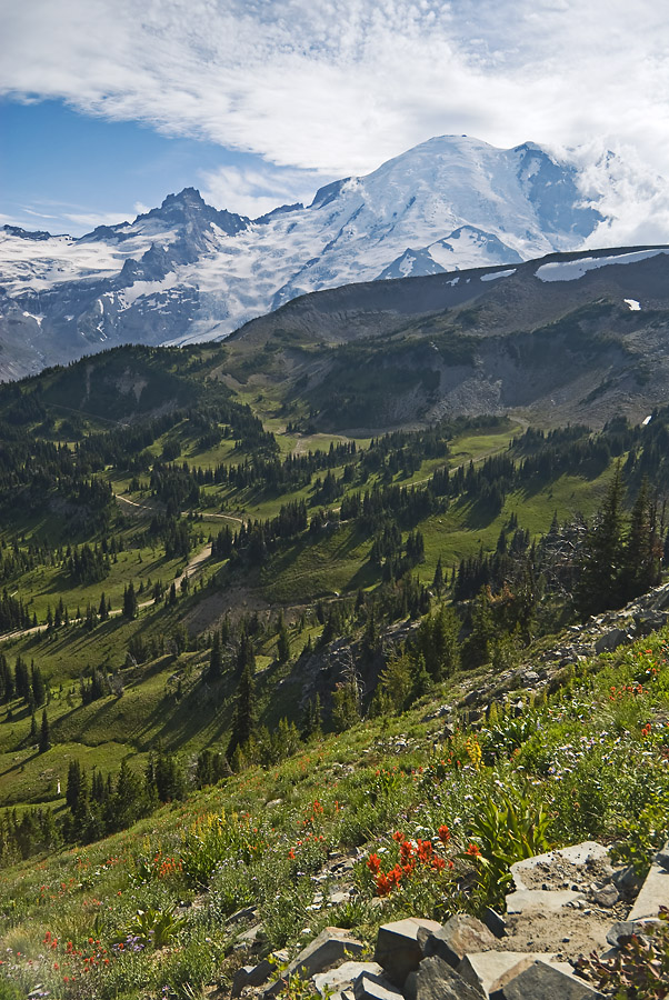 Mount Rainier from Sourdough Ridge