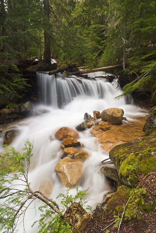 Stream Along Easy Pass