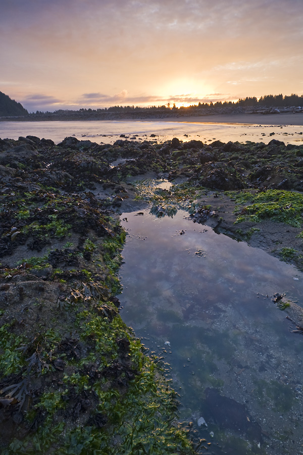 Tide Pool Sunrise