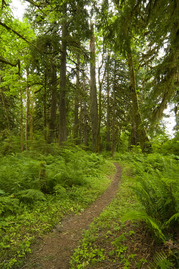 Baker Lake Trail