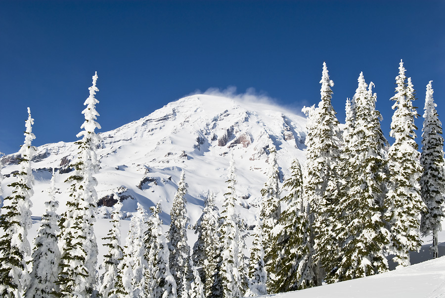 Mount Rainier in Winter