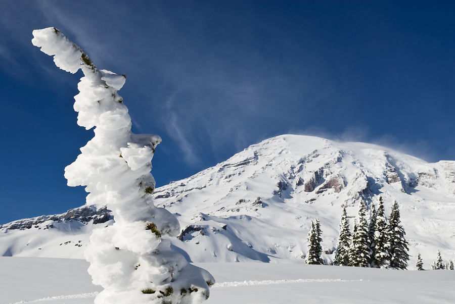 A Mount Rainier Winter