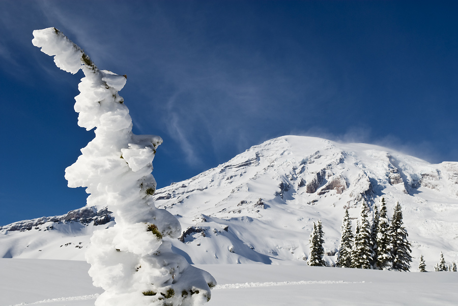 A Mount Rainier Winter