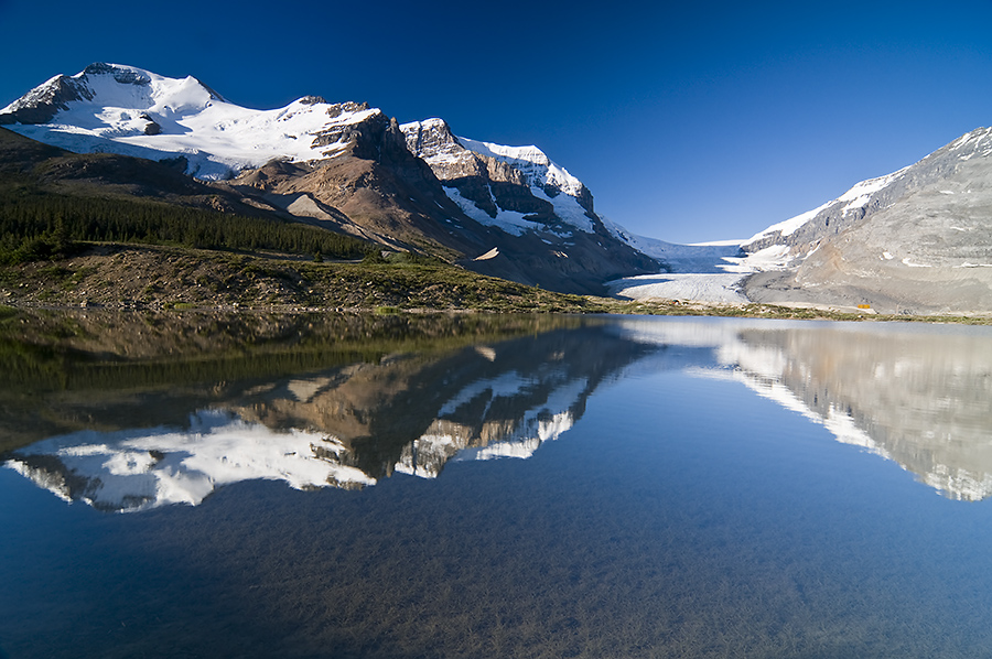 Jasper Reflection