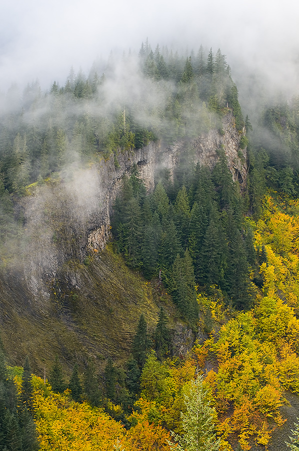 Autumn Comes to Rainier