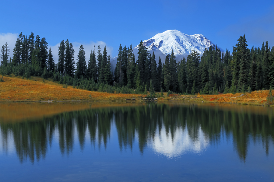 Rainier from Tipsoo