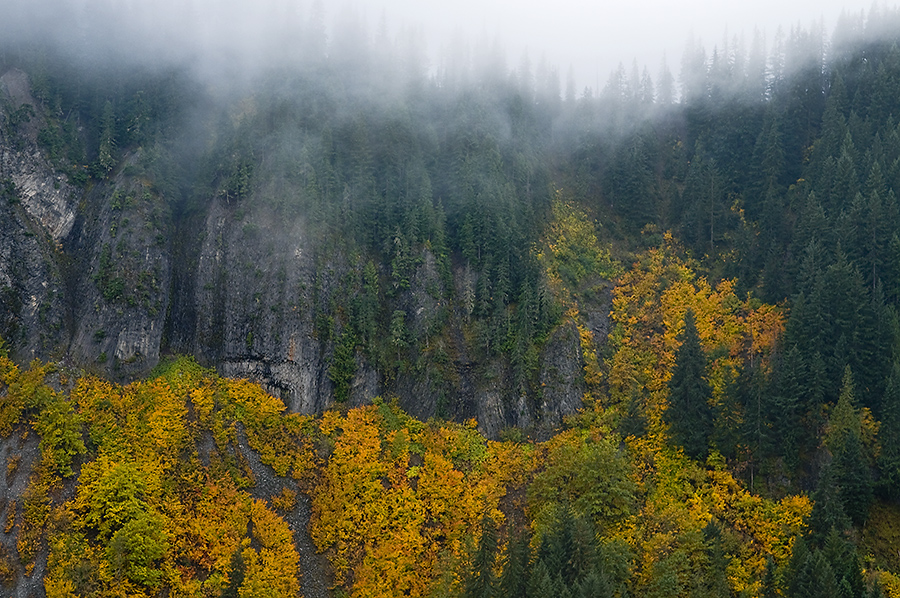 Autumn Mountainsides