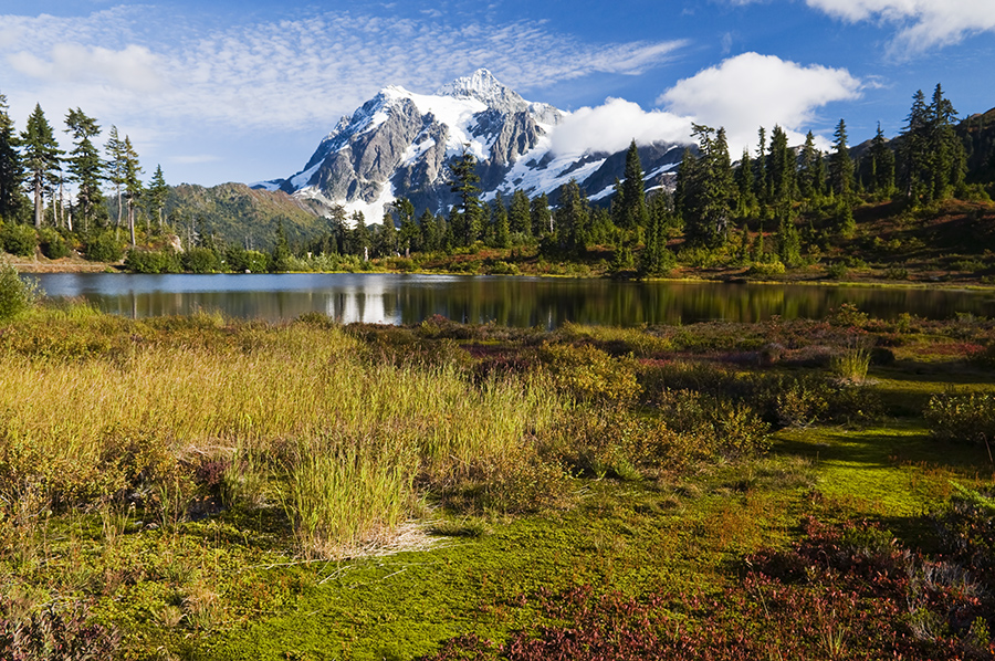 Mount Shuksan from Picture Lake