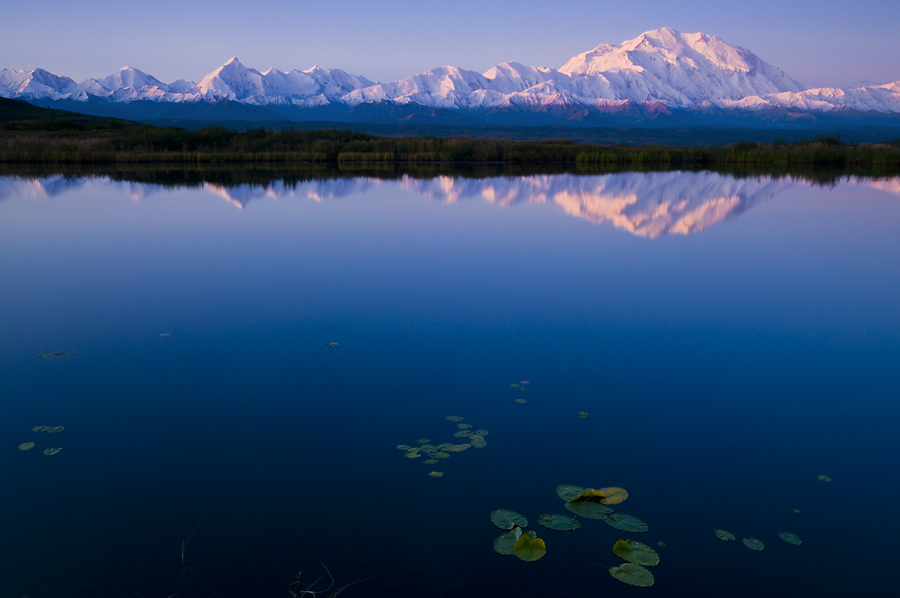 Lilly Pads and Mountains