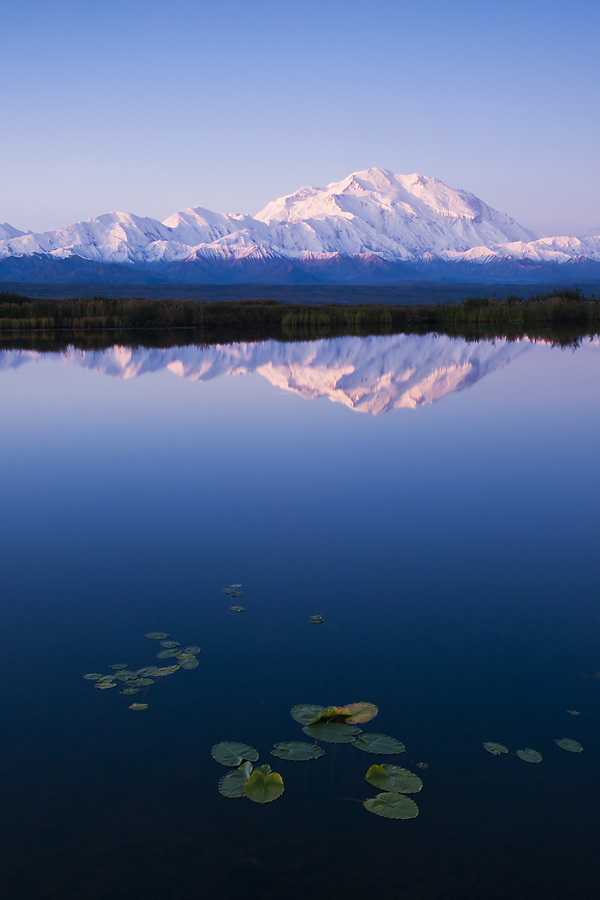 Lily Pads and Mountains