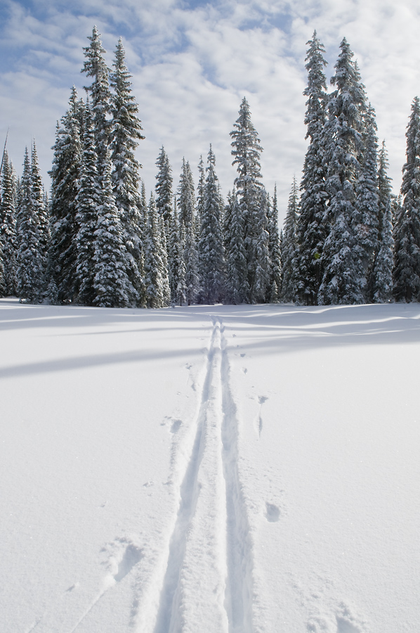 Cross Countrying Skiing in Montana