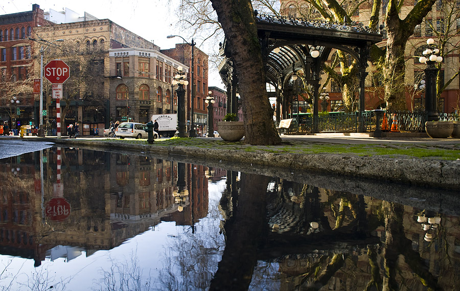 Pergola Reflection