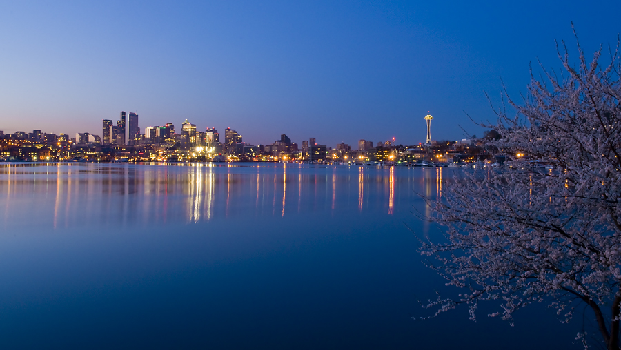 February Morning in Gas Works Park