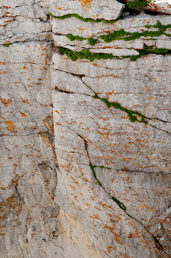 Lichen and Cliffs