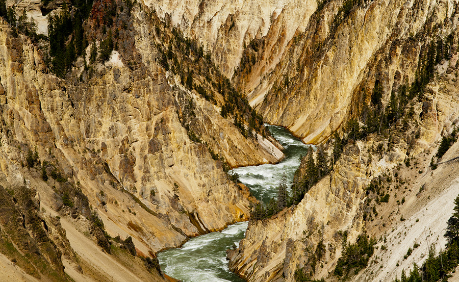 The Weaving Yellowstone River