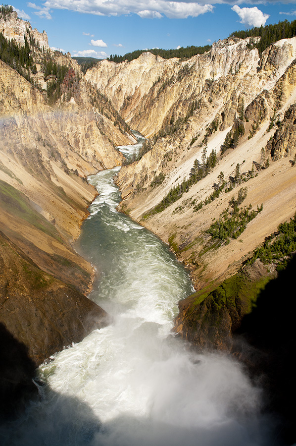 The Grand Canyon of Yellowstone