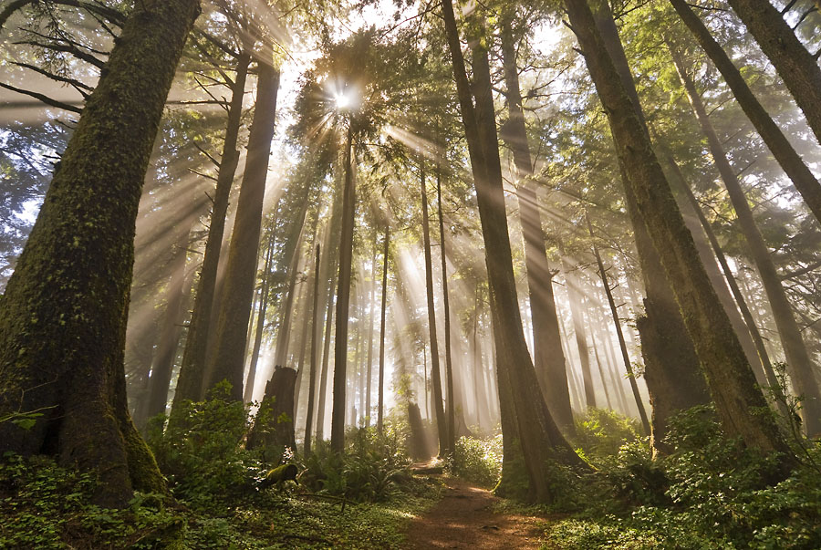 Cape Meares