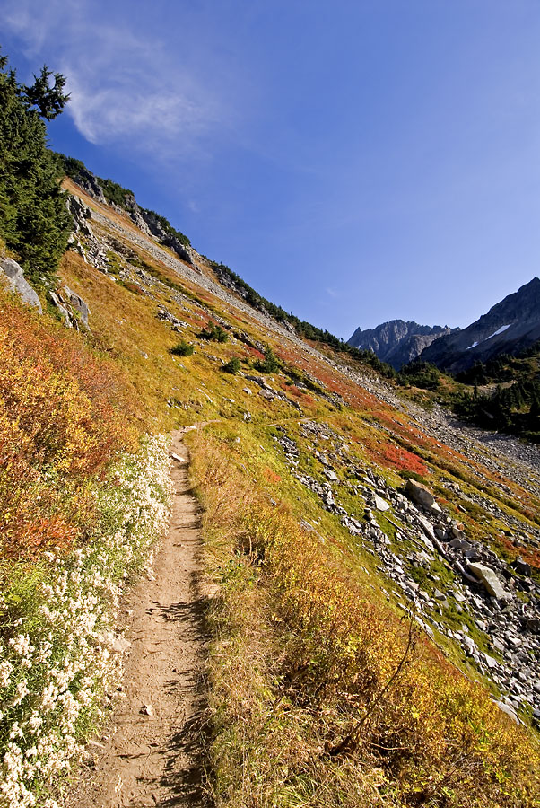 Cascade Pass Trail