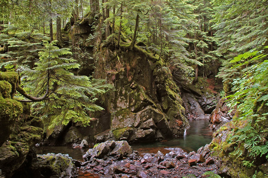 The Woods at Franklin Falls