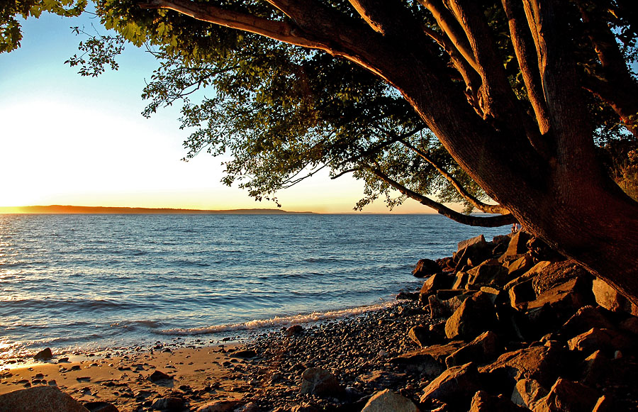 Golden Gardens Sunset