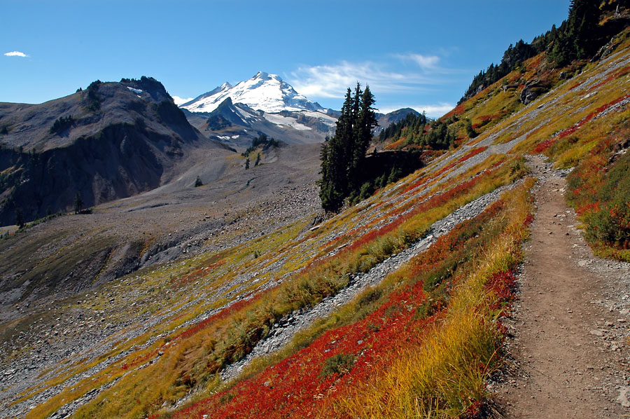 Mount Baker Trail