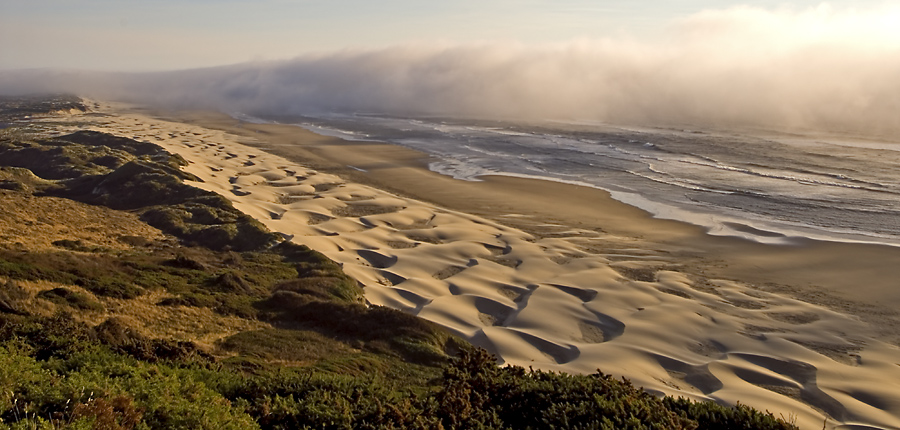 Oregon Coastline