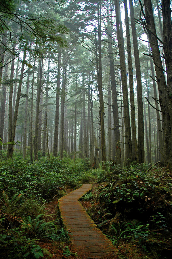 Sand Point Trail