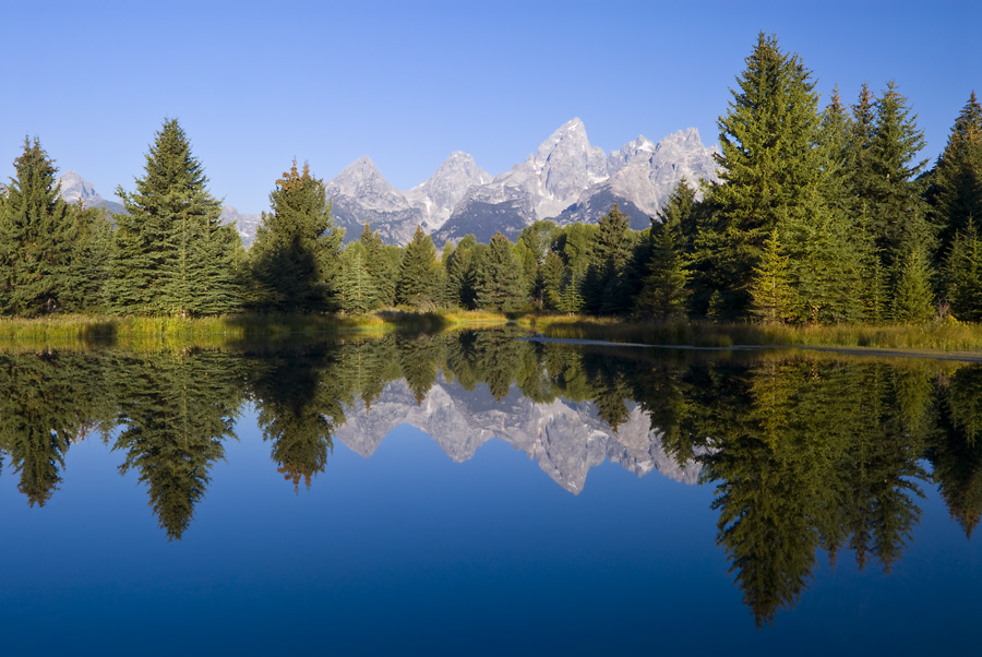 Schwabacher