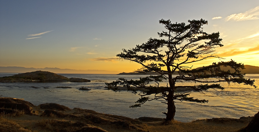 Shark Reef Sunset