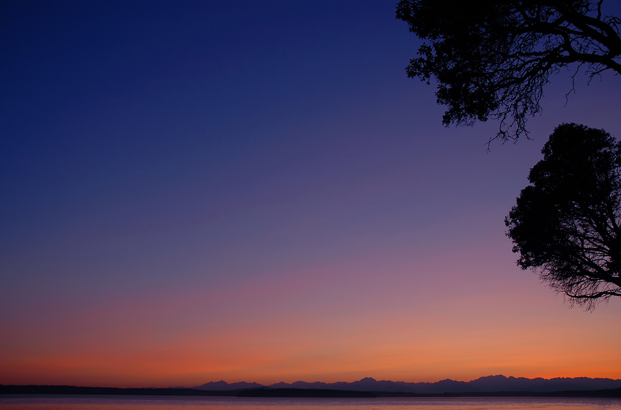 Two Tree Sunset